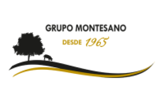Grupo Montesano